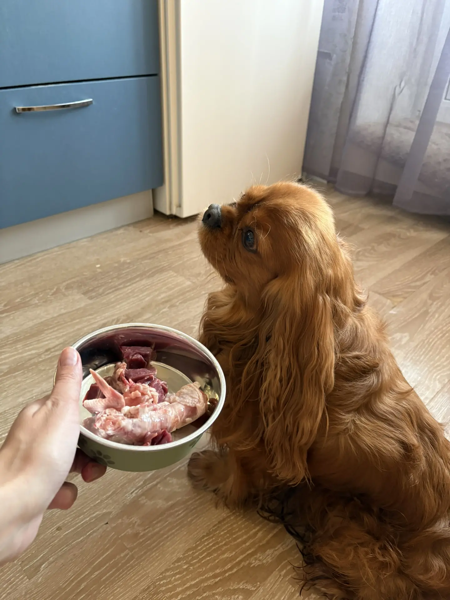 Доброе утро и приятного аппетита 😋