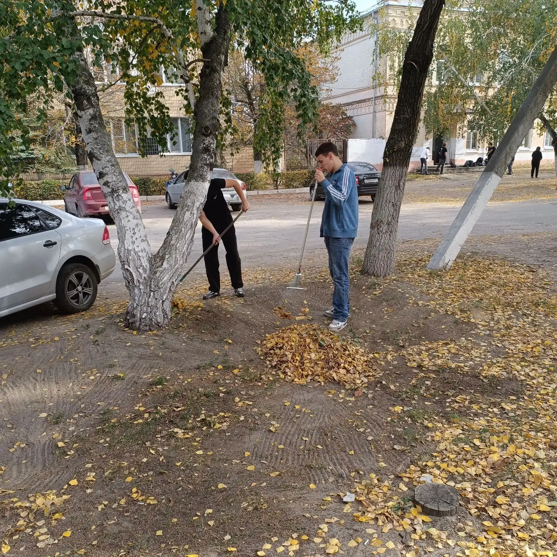 🎉 Наши гимназисты - настоящие молодцы!