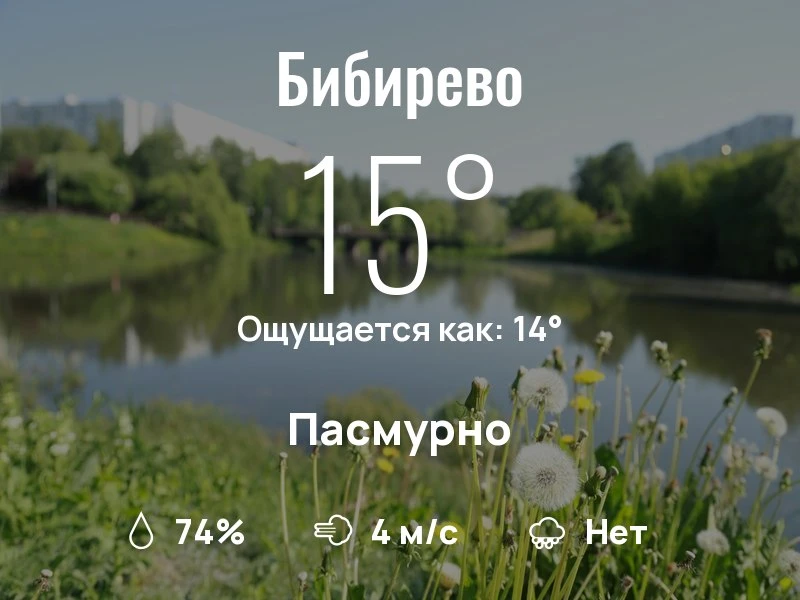 Что с погодой в Бибирево?