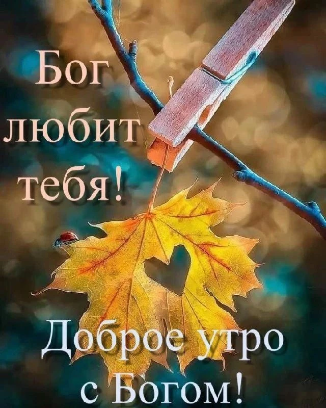 Подписаться 🍁