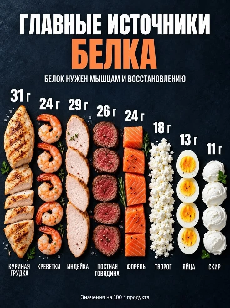 Где больше всего белка? 🍤