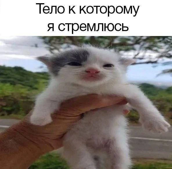 Ставь лайк! ❤️