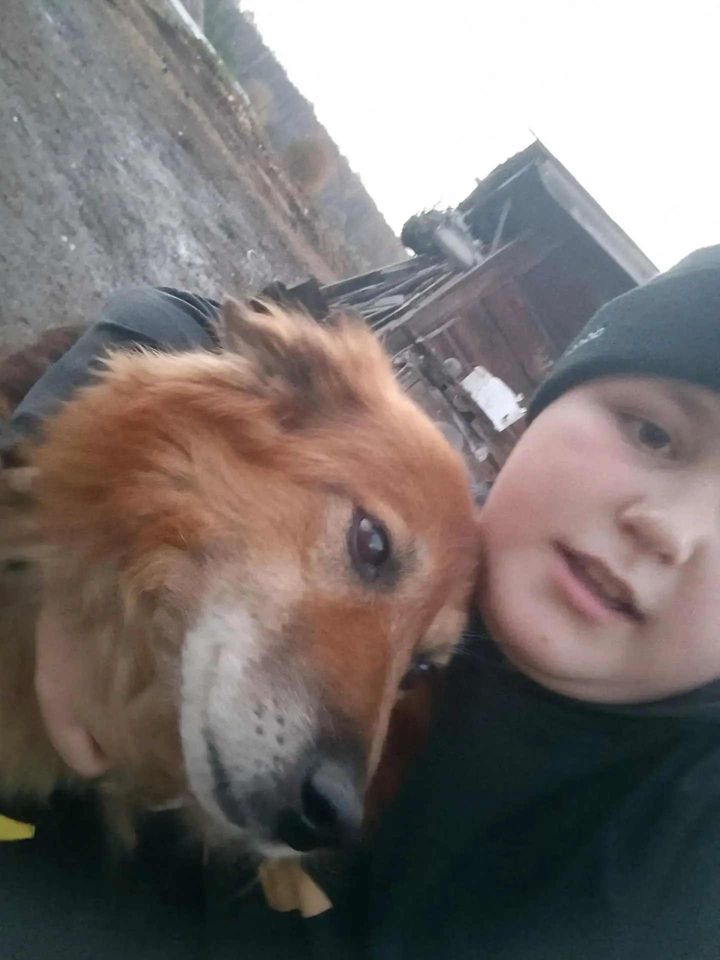 Мой пёс - Табун🐾