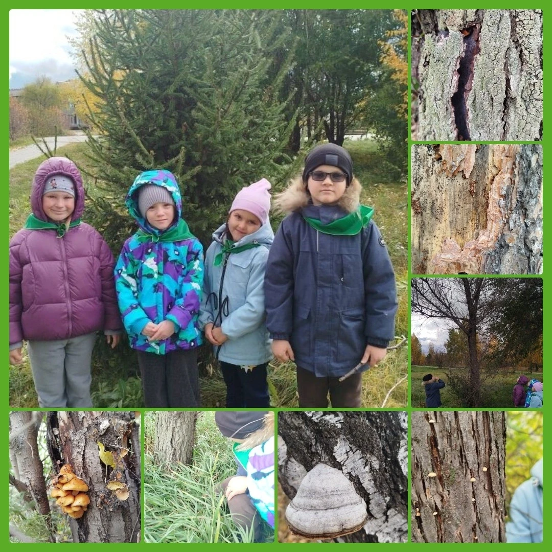 Команда «Юннаты-солнышки» в Парке Победы: учимся беречь лес! 🌲☀️