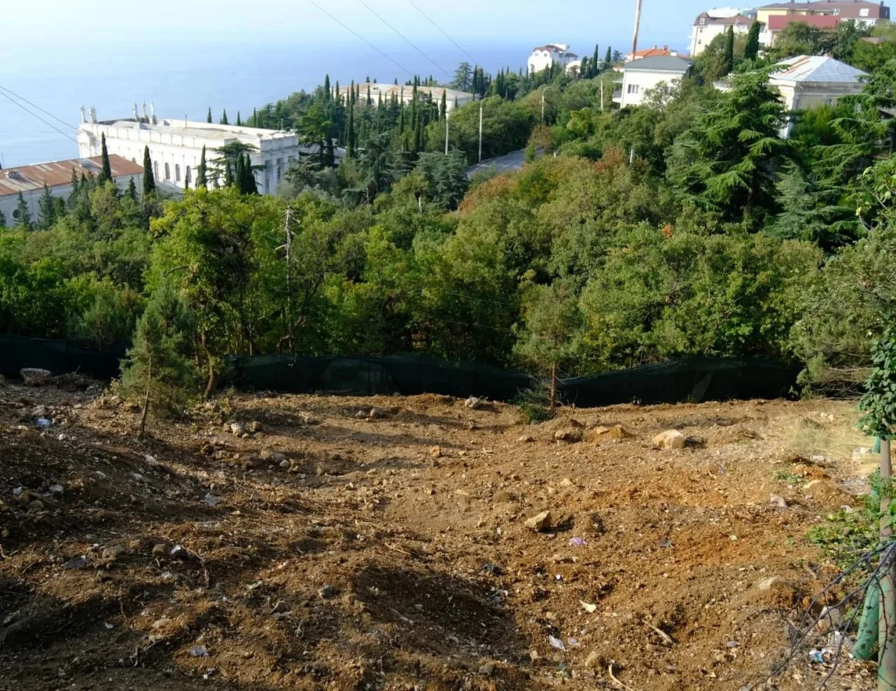 Жители Гаспры сообщили об удалении деревьев на склоне в районе Алупкинского шоссе, 48. ...