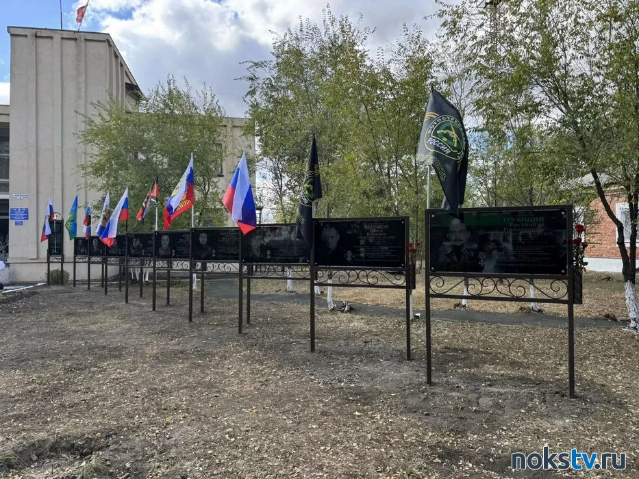 В селе Хабарное состоялось торжественное открытие Аллеи памяти, посвящённой воинам, пог...