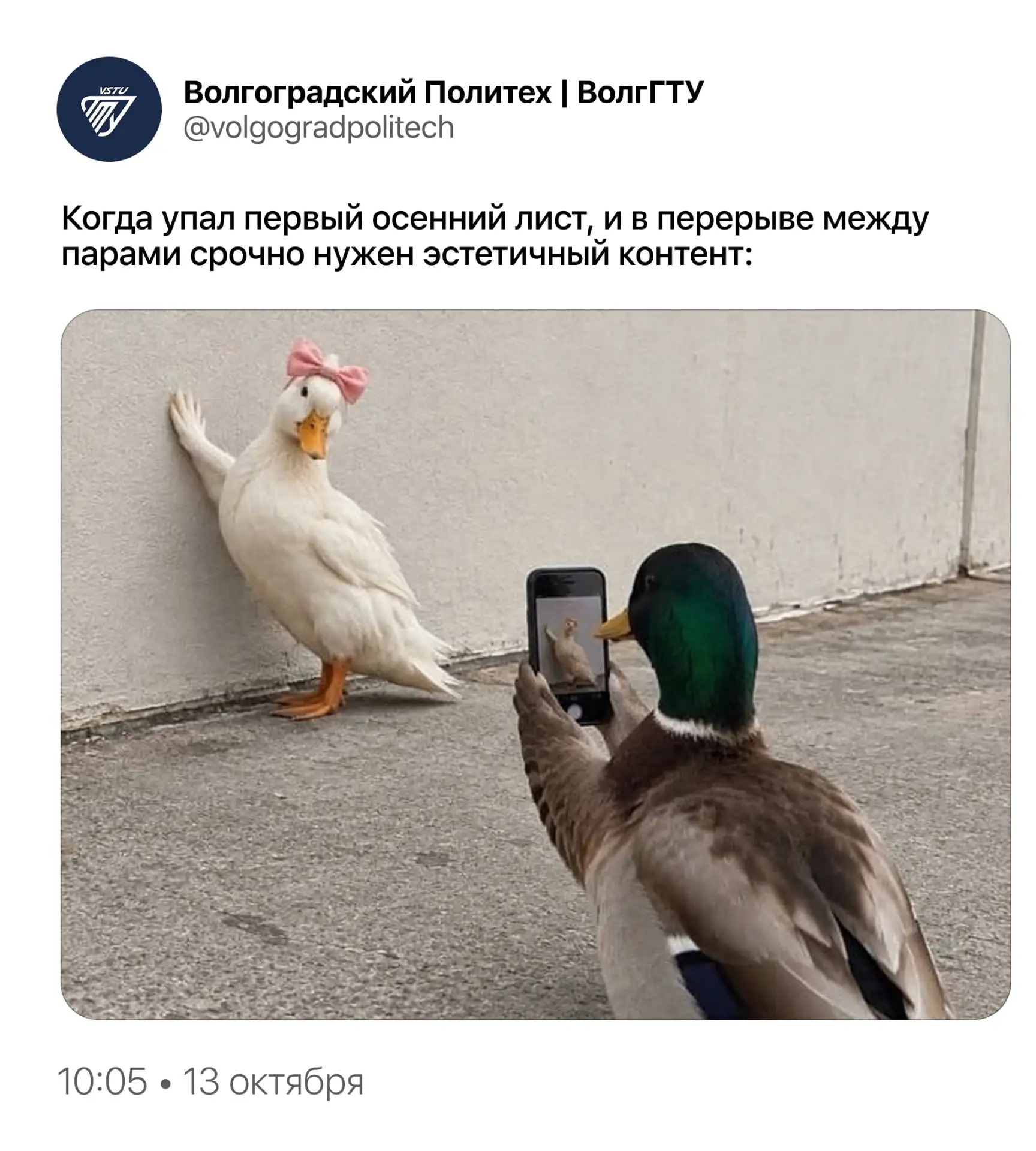 Главное – выбрать удачный ракурс ✌️