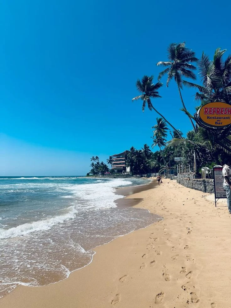 *Шри-Ланка 🇱🇰*
