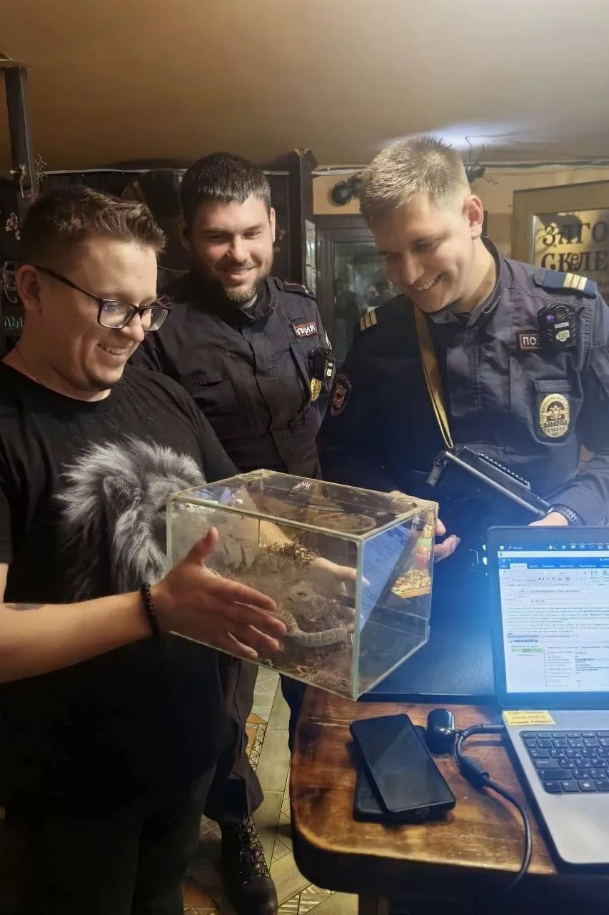 🐍 Змеиный каршеринг: в Иркутске полицейский капот стал парковкой для ядовитого щитомор...