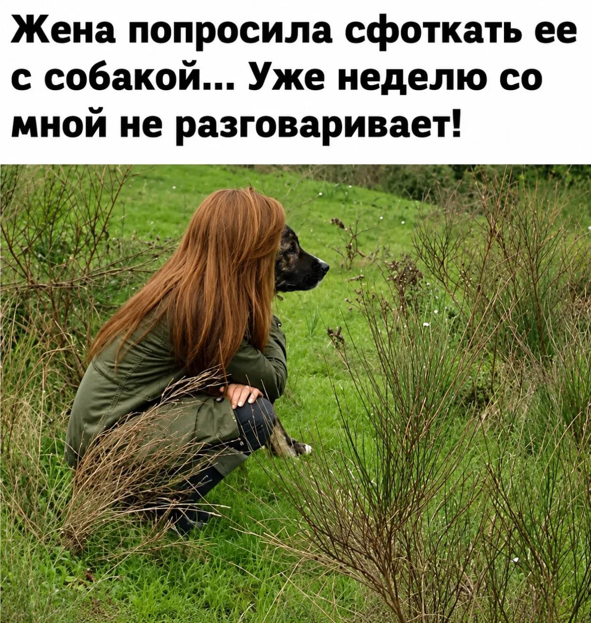 Милота/юмор/мем на ночь 🌙