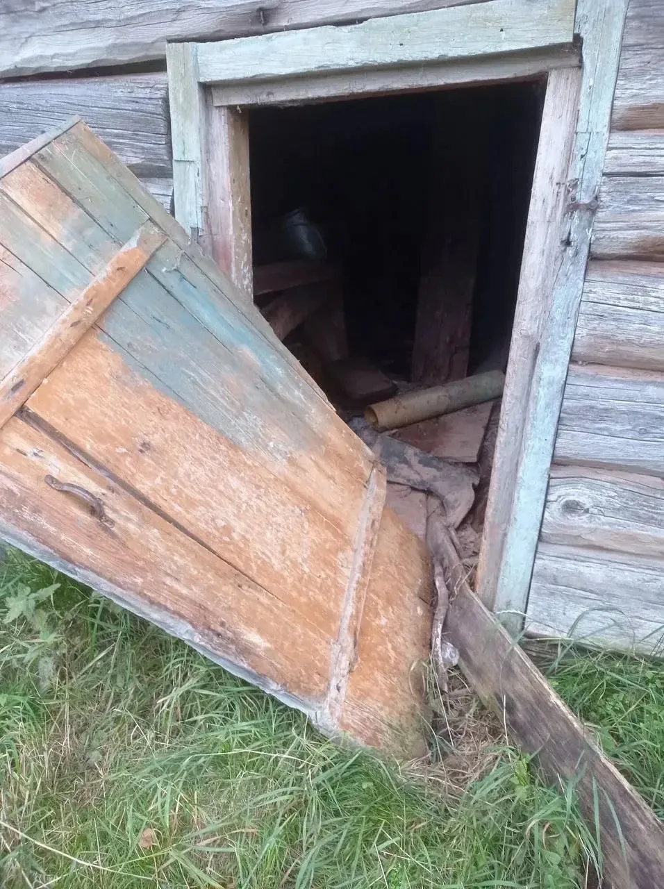 ⚡️В Золотицу прилетели охотники с лайками для борьбы с медведями
