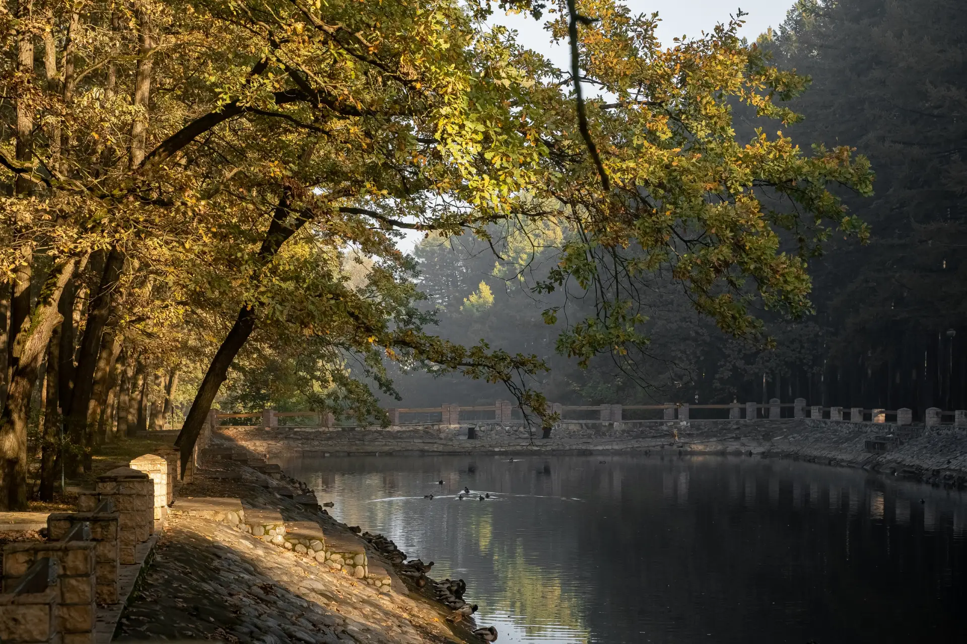 🍂 Детский парк в золотых красках осени