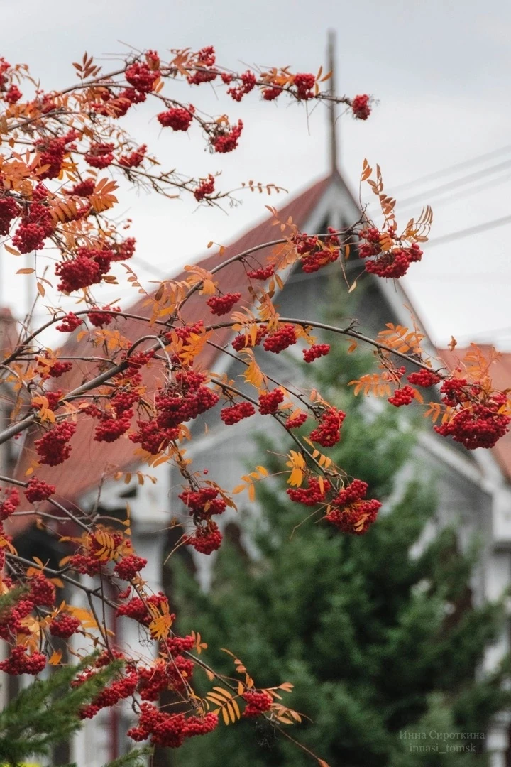 🍂 Томские улицы в октябре