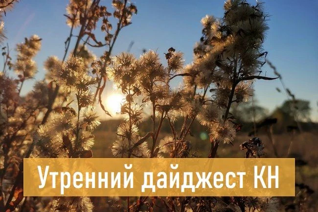 События, факты, мнения: больше половины АЗС без бензина, угроза крыс, отмена стриптиза ...