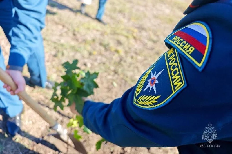 В Донецке высадили аллею к вековому юбилею Госпожнадзора