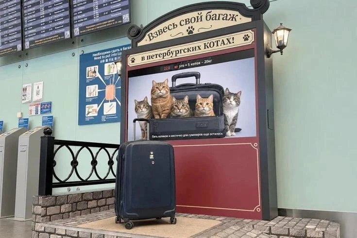 Дайджест новостей страны к этому часу: