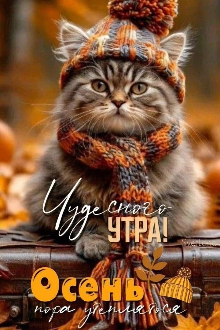 Подслушано Каменск Уральский