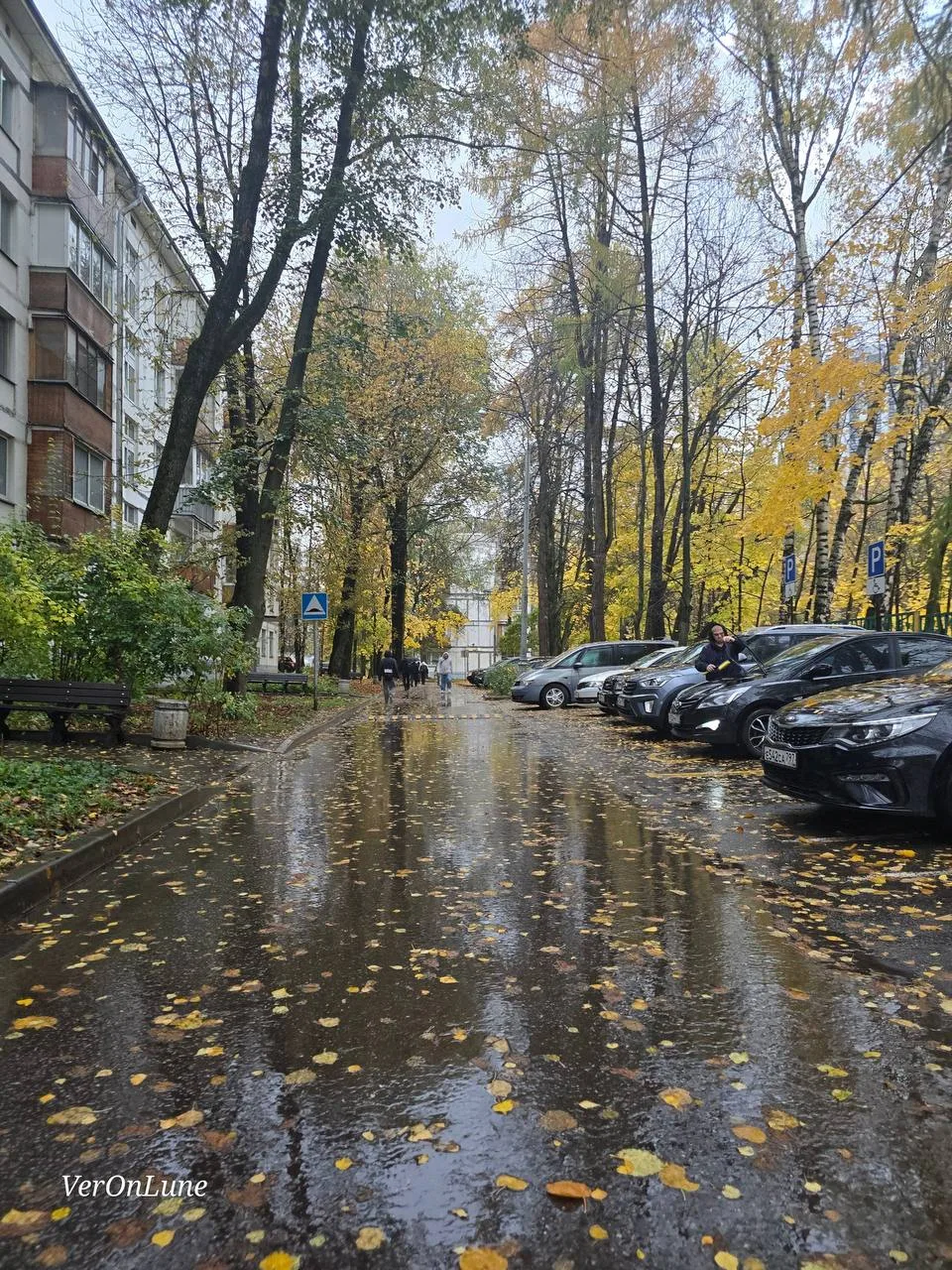 Как вам тот факт, что сегодня — ровно половина осени? 🍂