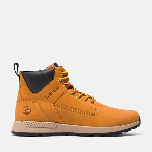 Timberland