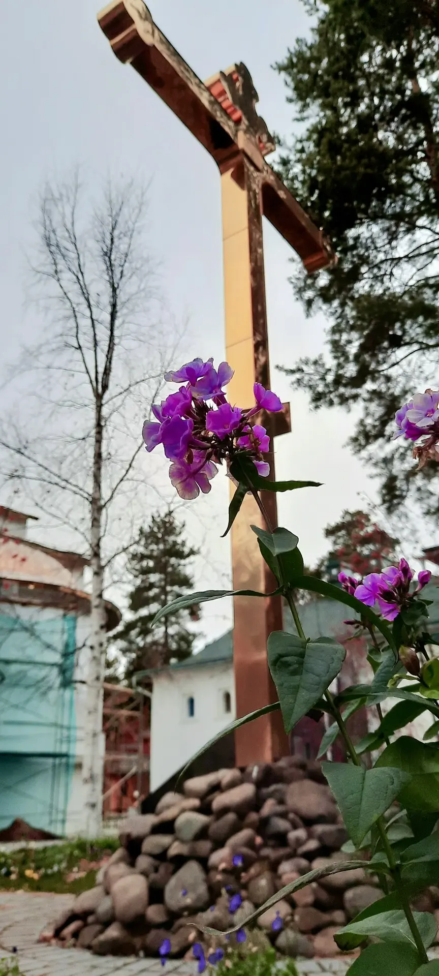 #цитата_вдохновение