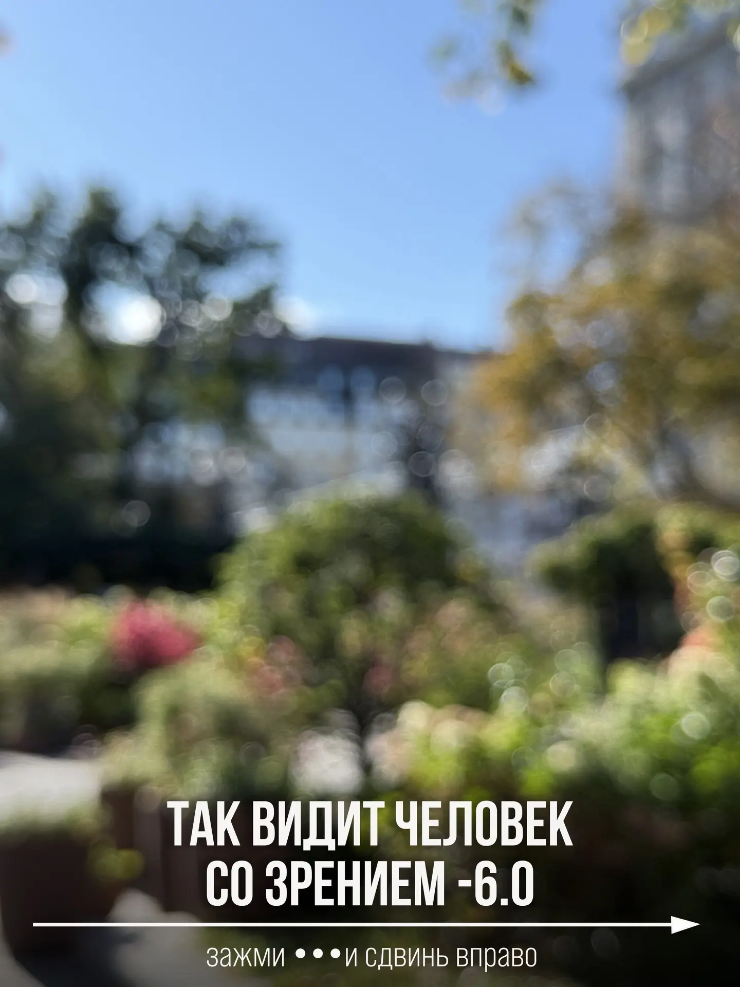 В наших бутиках можно не только выбрать оправу, но и проверить зрение и заказать линзы 🤍