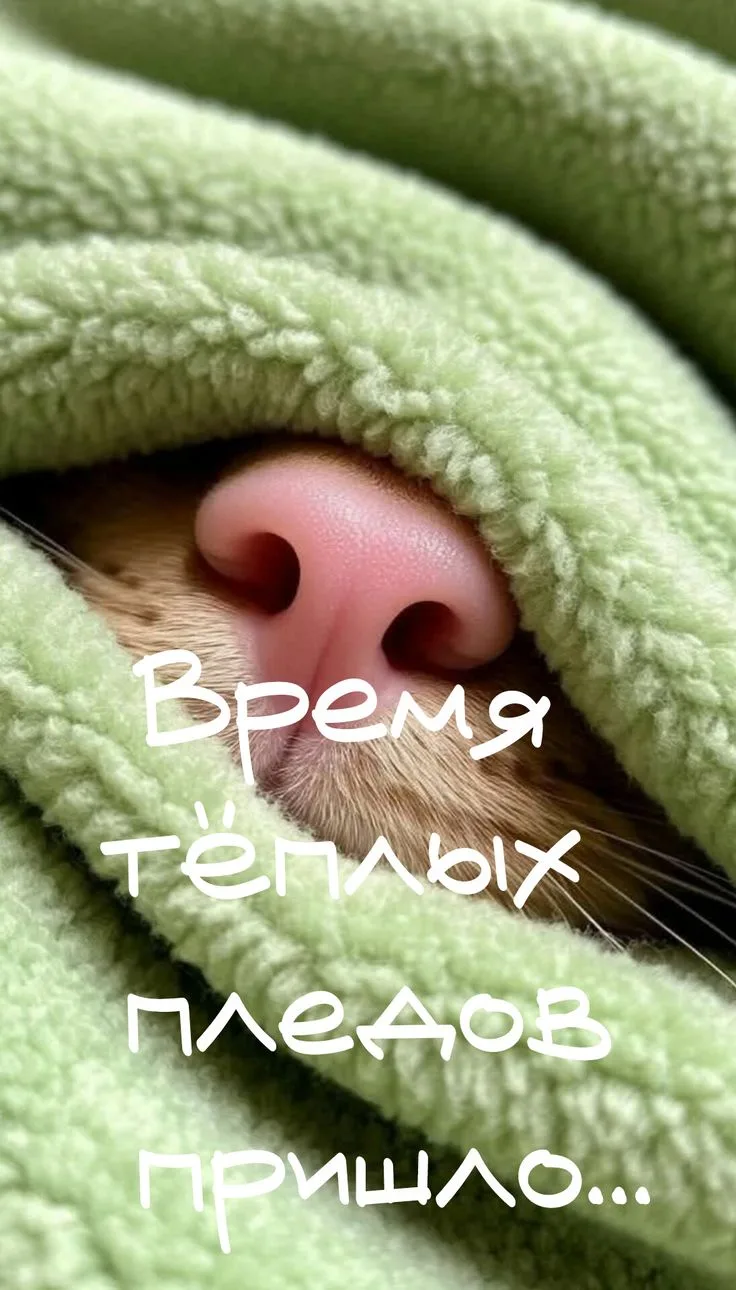 Доброе утро, дорогие наши❤️
