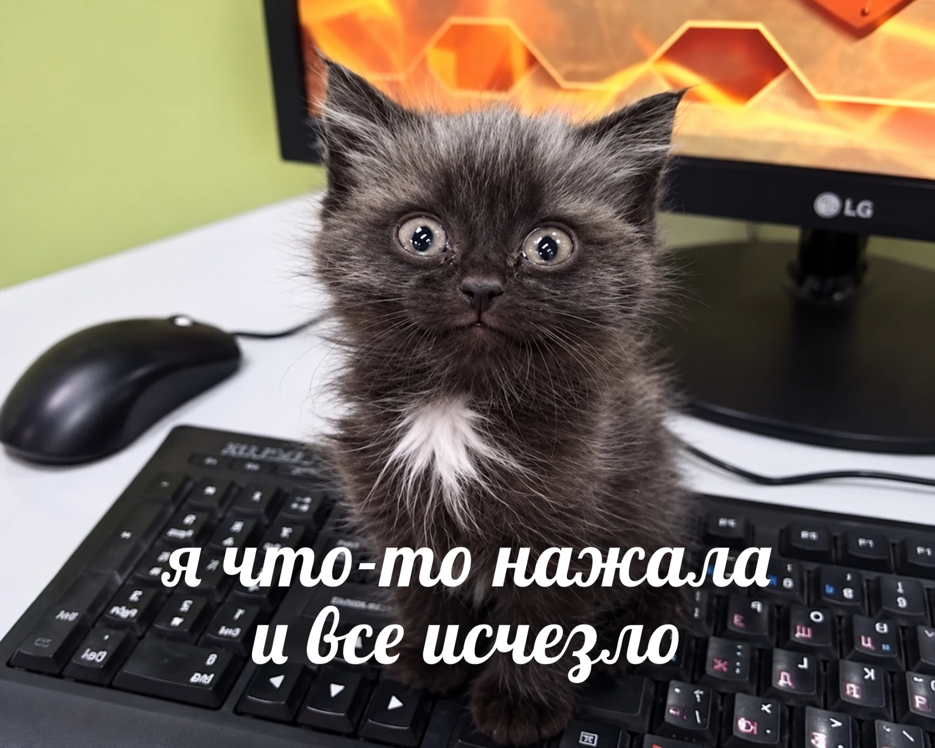 💻 Кажется, техника решила за нас