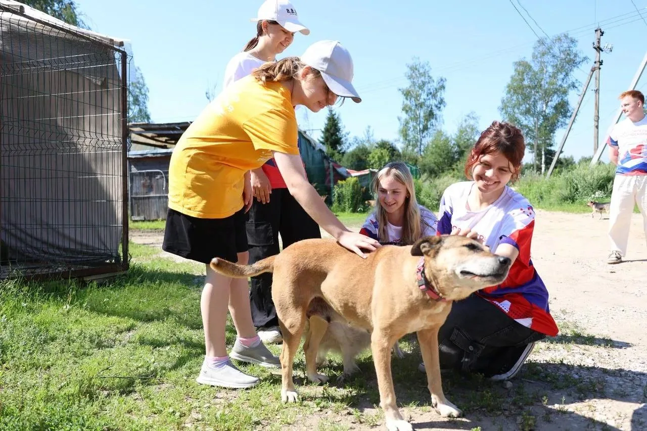 🐕🐈 Стартовала акция помощи животным «Дай лапу»!