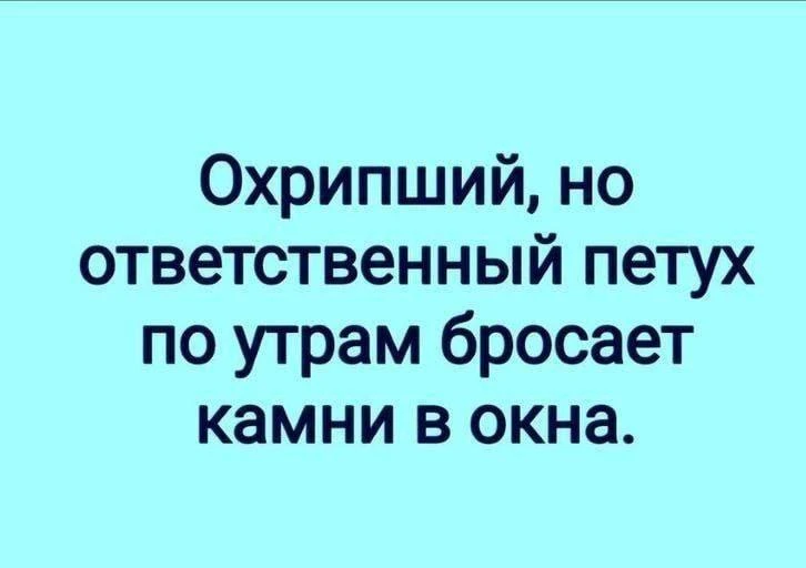 Работу никто не отменял 😁