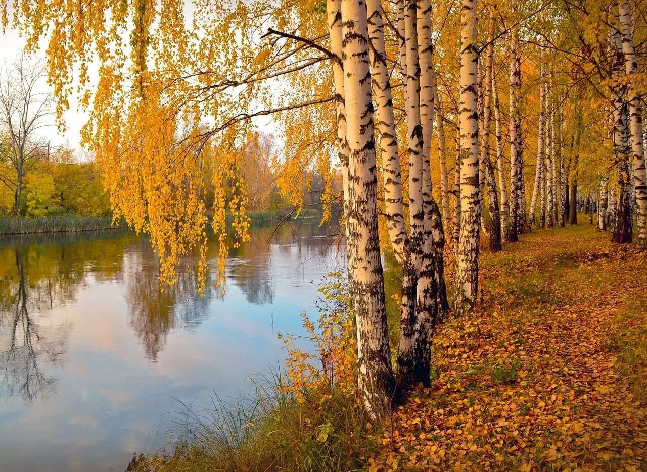 А по утрам волшебно очень