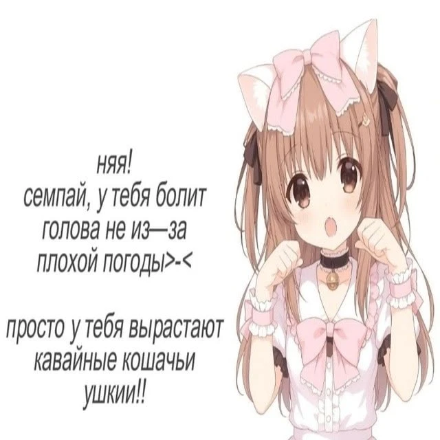 Другие наши каналы ❗
