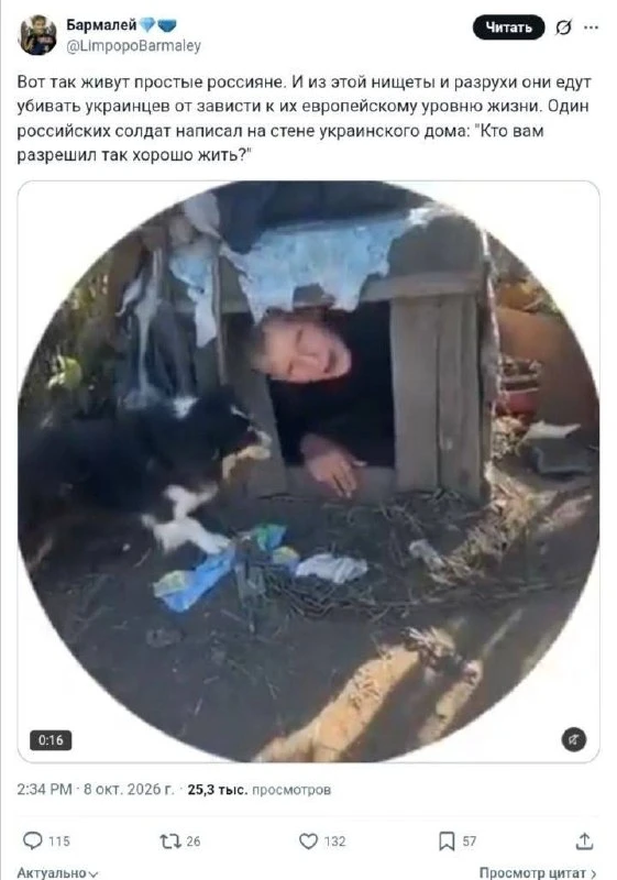 ⭐️СЦУКО ХОХЛЫ😂