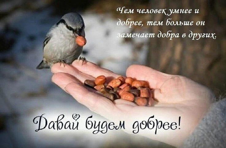 «Зёрнышки добра»: поможем птицам перезимовать!
