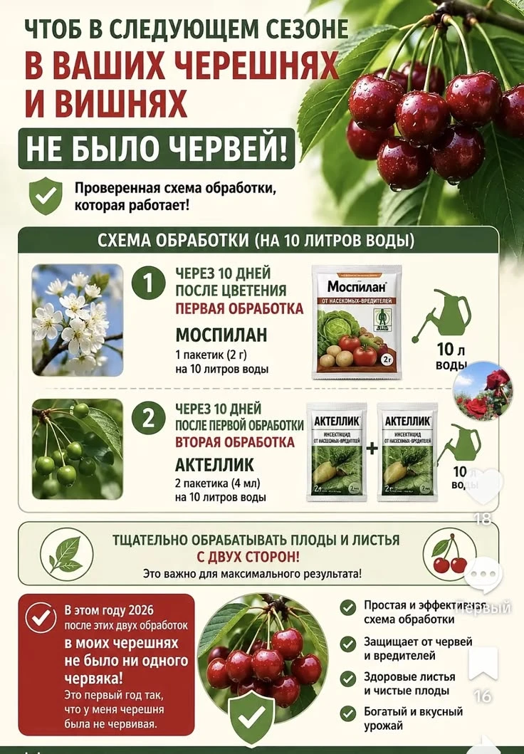Чтоб в следующем сезоне в ваших черешнях и вишнях не было червей.