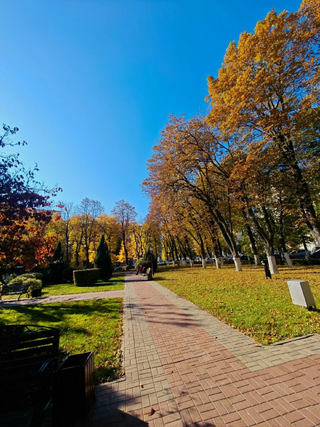 Очаровательный красивый осенний Воронеж!💛❤🧡