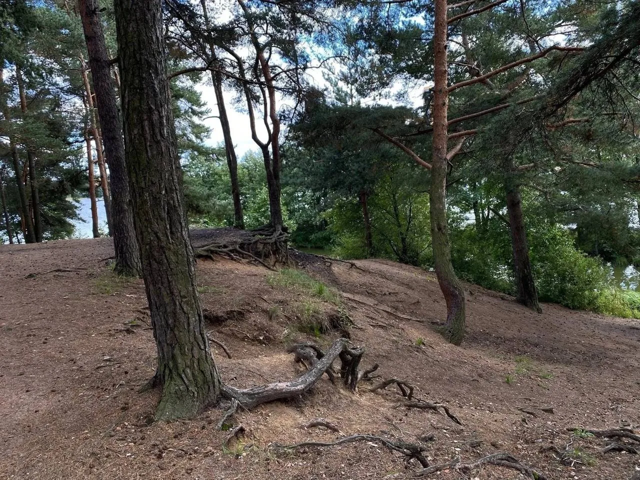 🍂🌿 Субботник на побережье реки Каменки вблизи Шуваловского карьера