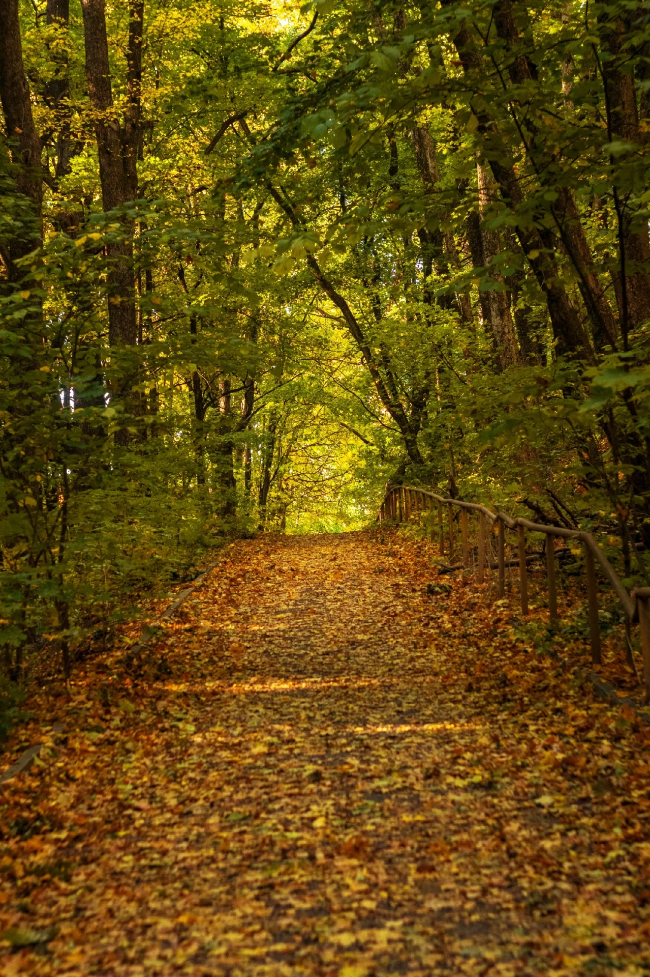 Ах, какая красивая осень! 🍁
