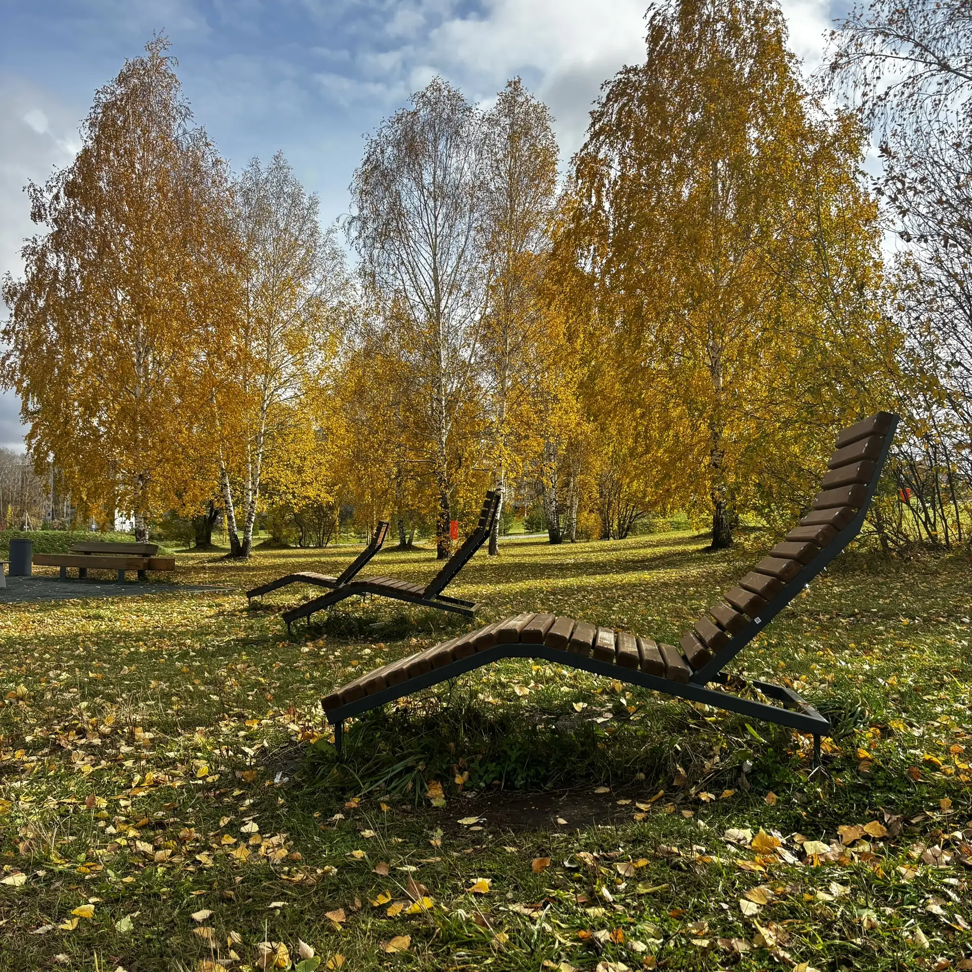 🍂 Доброе утро Заринск! Среда, 14 октября — встречаем день с хорошим настроением! ❤️