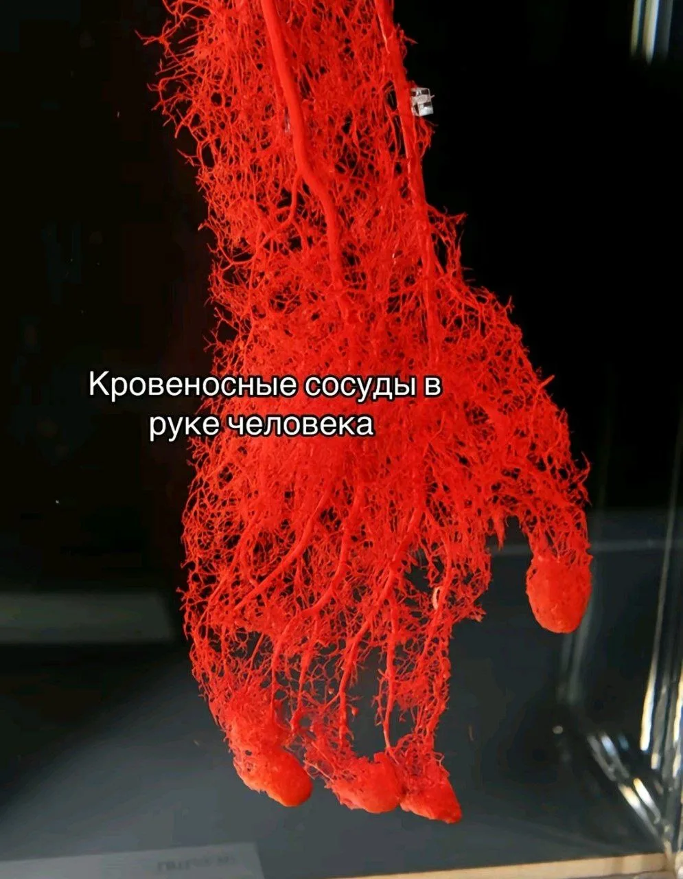 Подумать только..