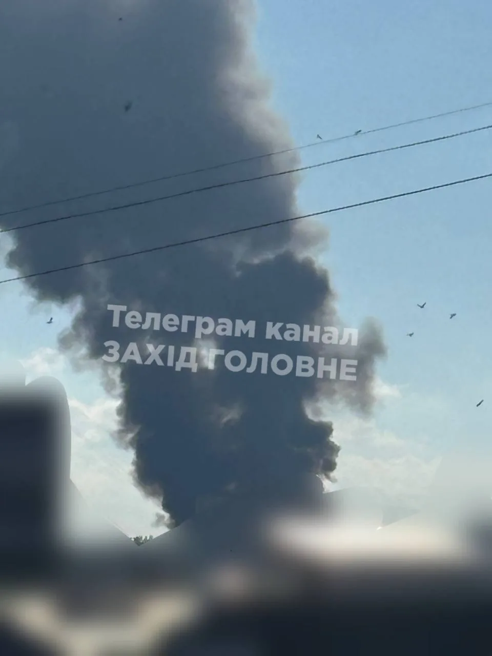 В Ковеле Волынской области наша Геранька прилетела по пункту выдачи разрешений на между...
