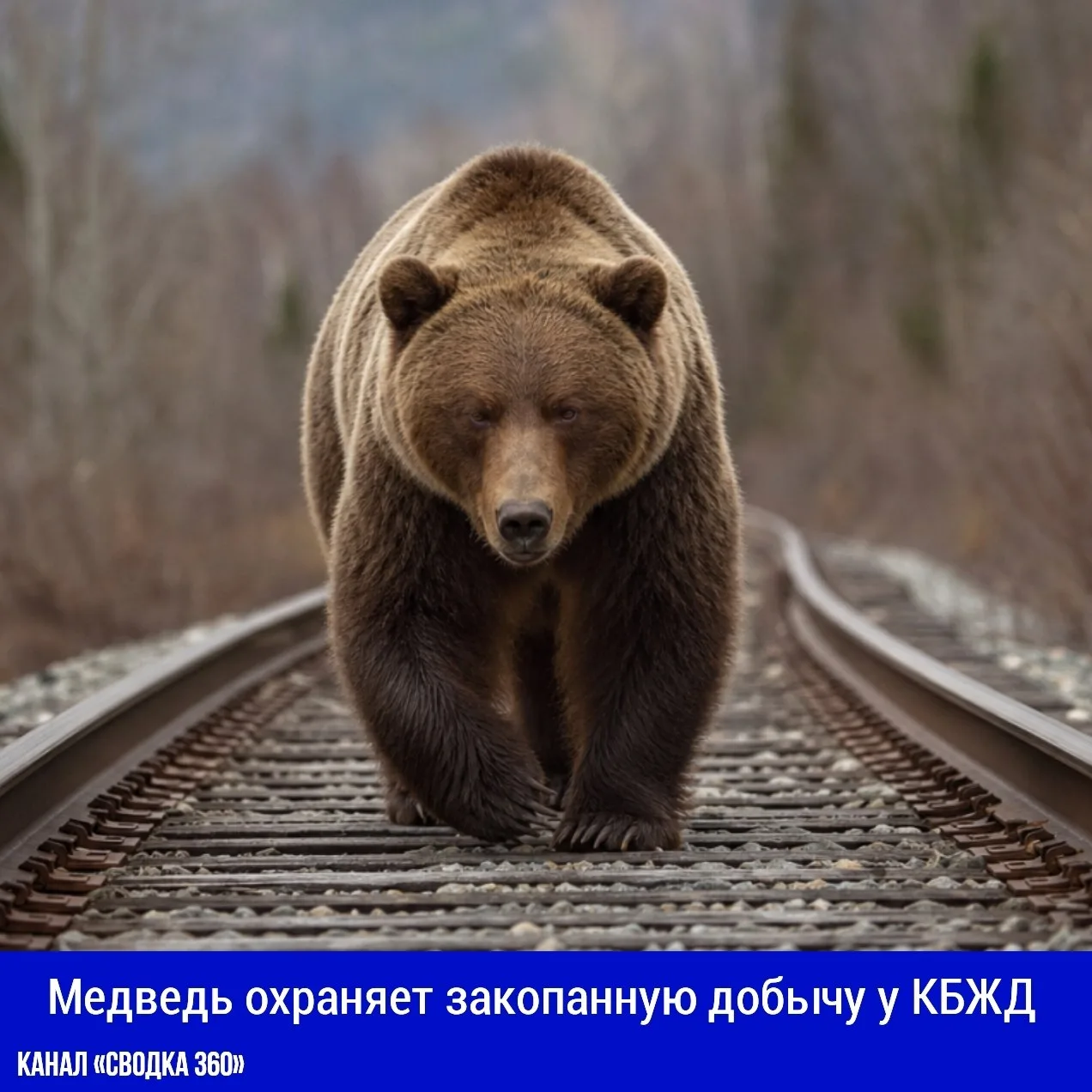 На закрытом пешеходном маршруте возле Кругобайкальской железной дороги инспекторы Байка...