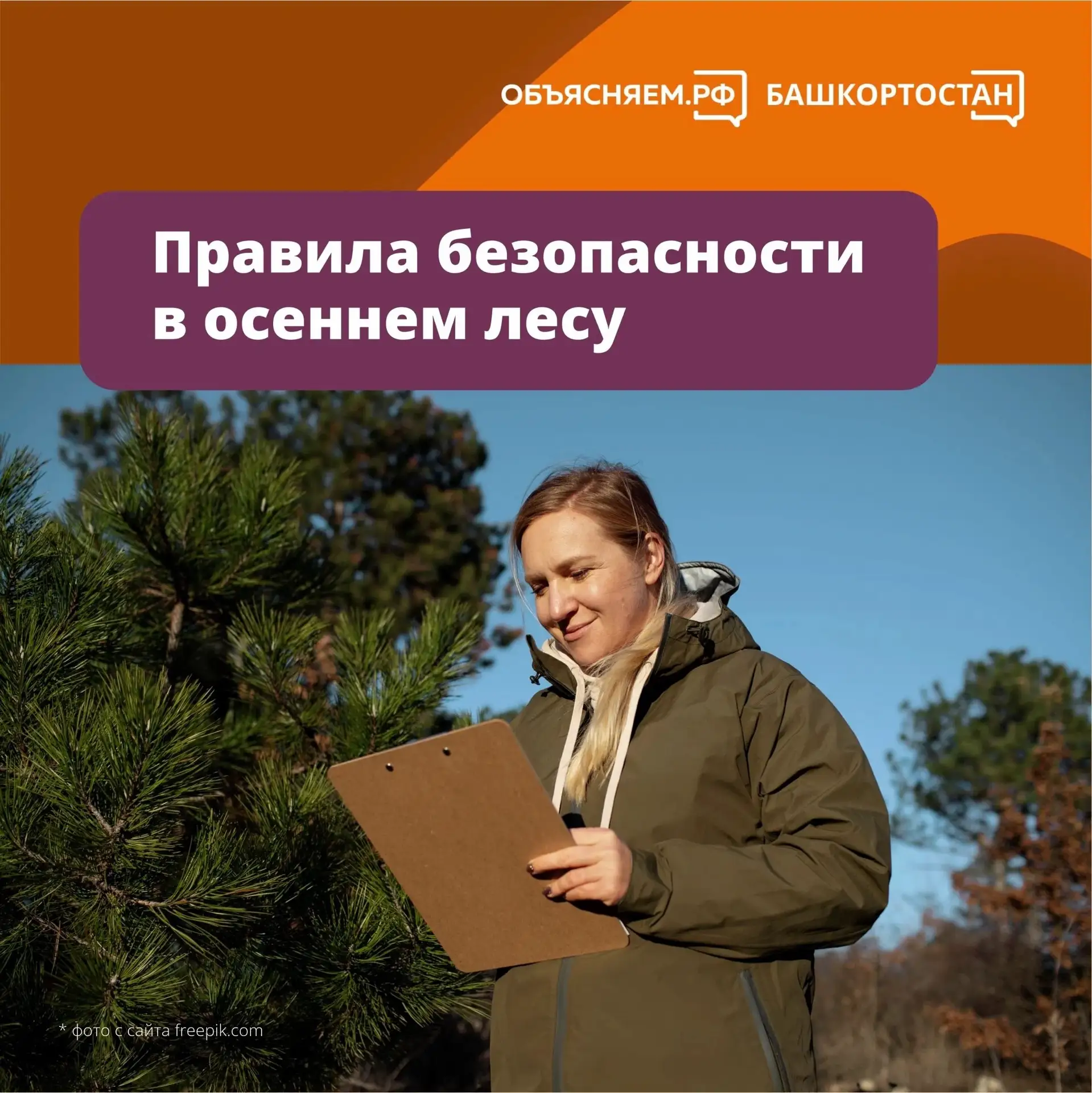 Собираетесь в лес? Возьмите с собой эти советы 👉🎒