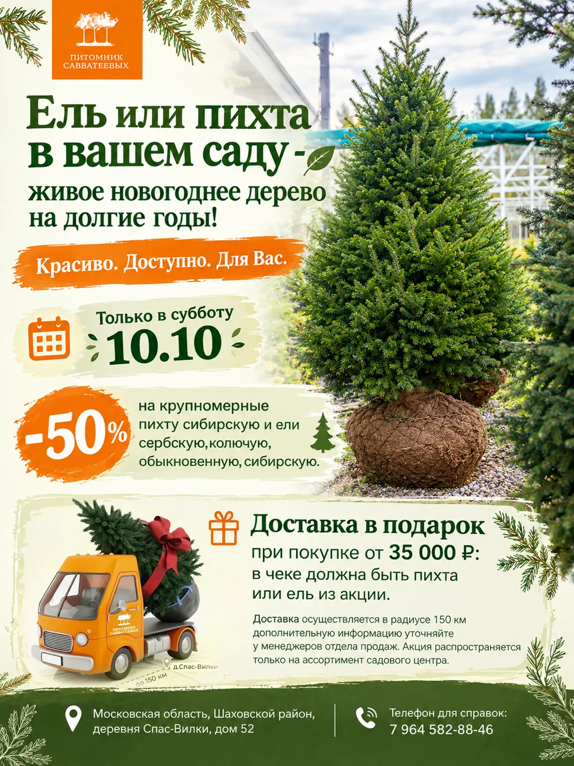 🌲 Ель или пихта в вашем саду — живое новогоднее дерево на долгие годы!