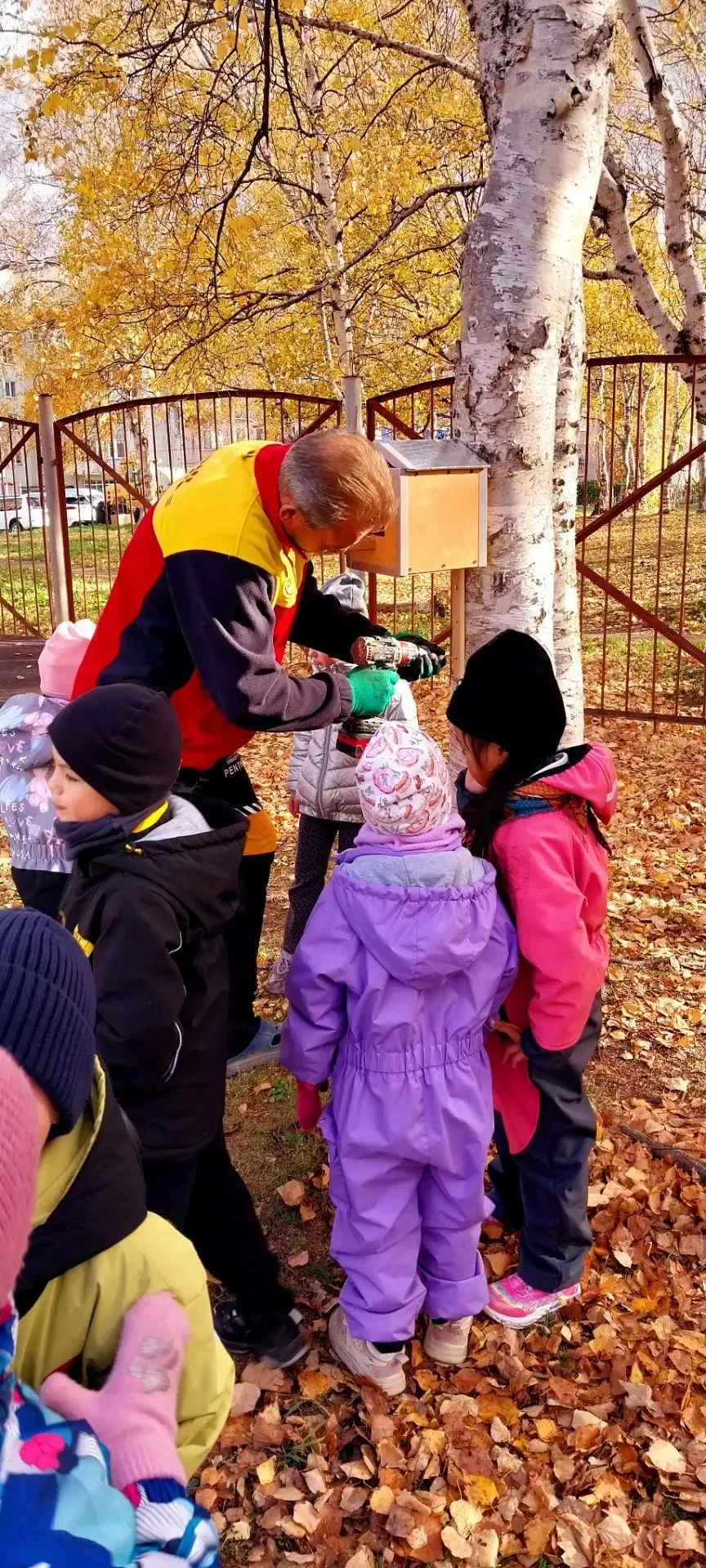 🐦✨ Добрые дела в "Гномике"! ✨🐦