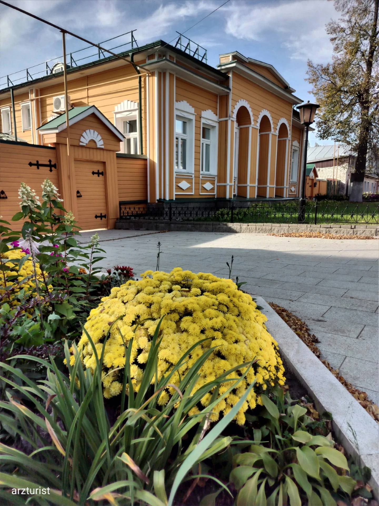 Тополей густые кроны,