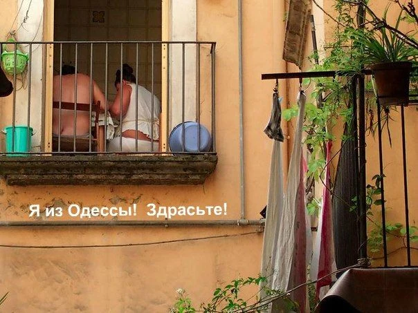 - У Ройтманов вчера на обед была такая фаршированная щука - пальчики оближешь!
