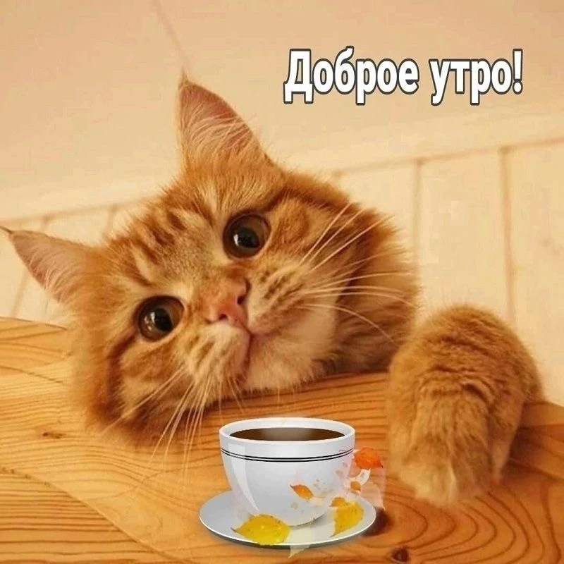 КРАСИВЫЕ ОТКРЫТКИ ТУТ💖