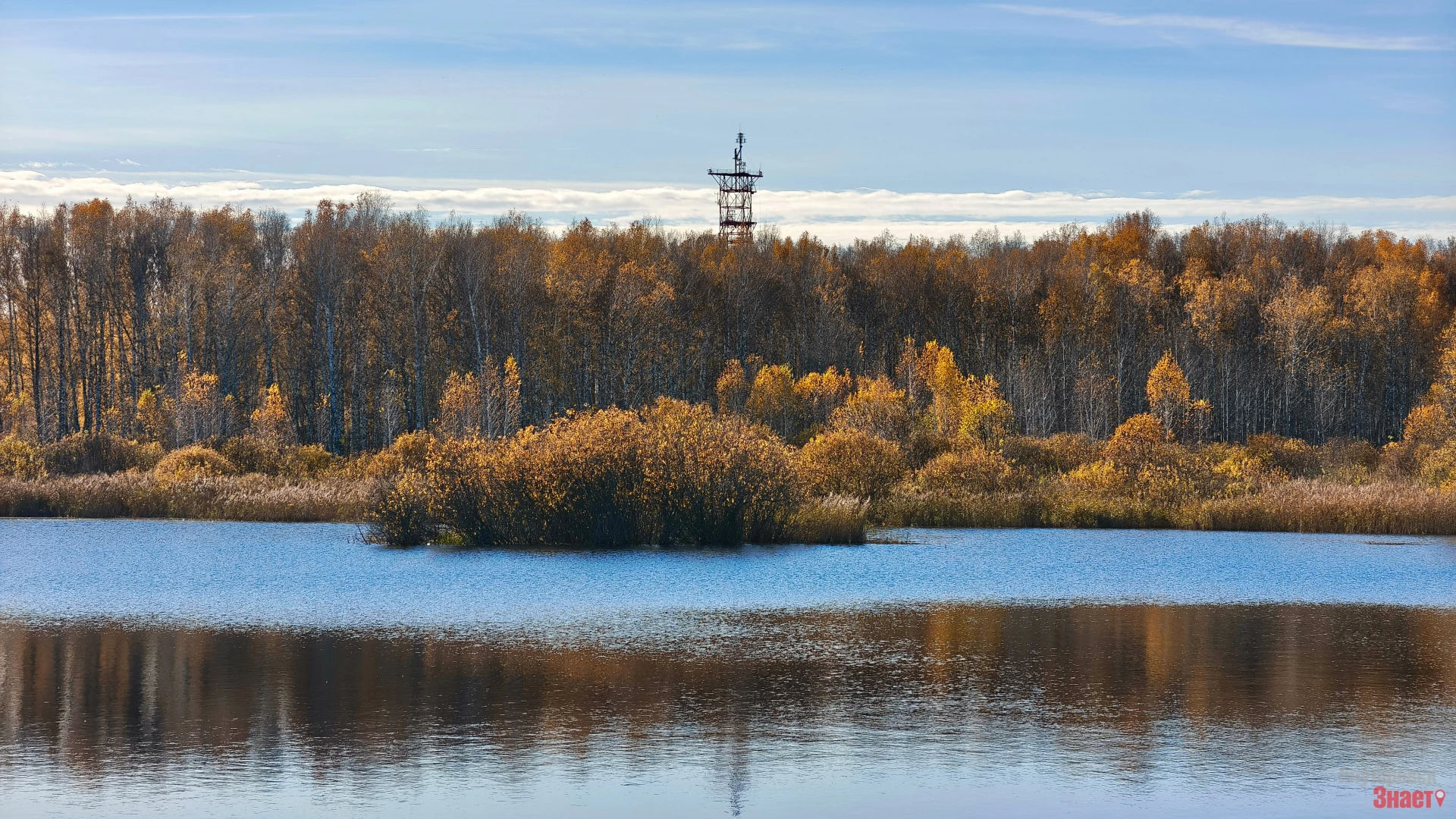 Белые лебеди, где же вы где! Вас не хватает на синей воде...