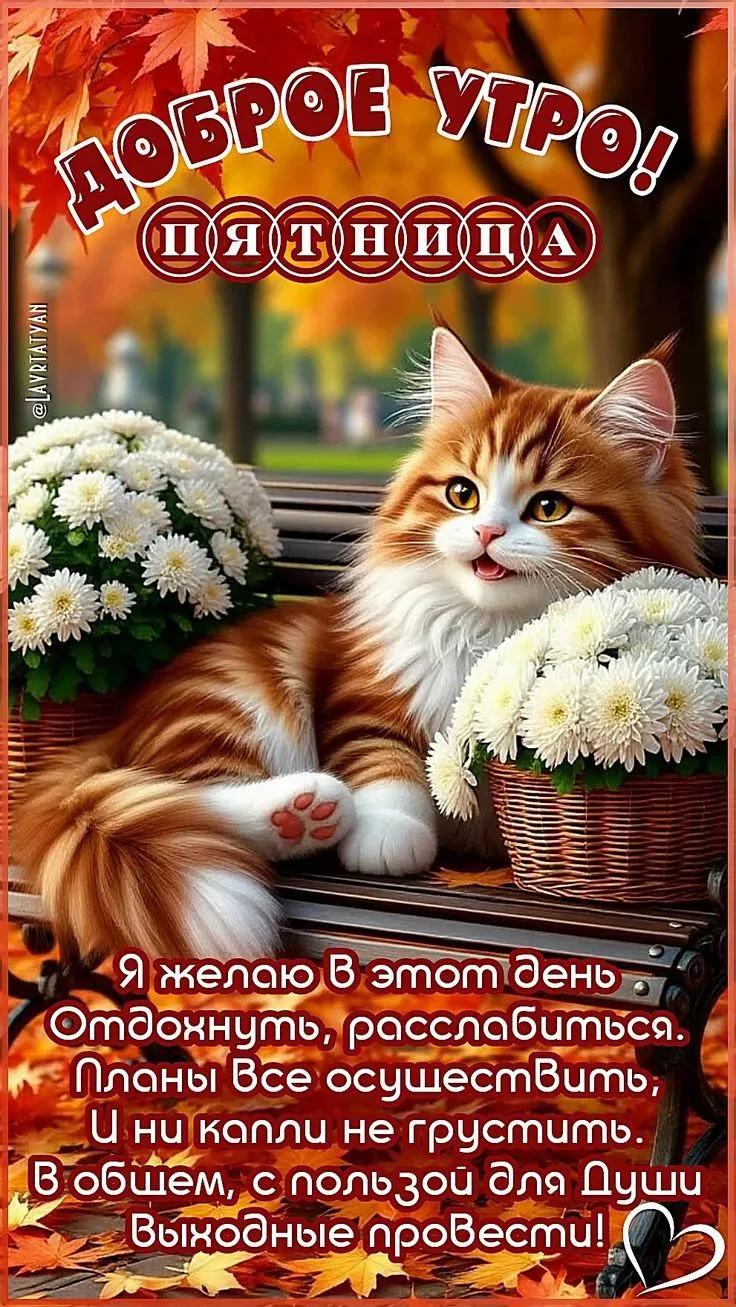 🦋ДОБРОЕ УТРО🦋