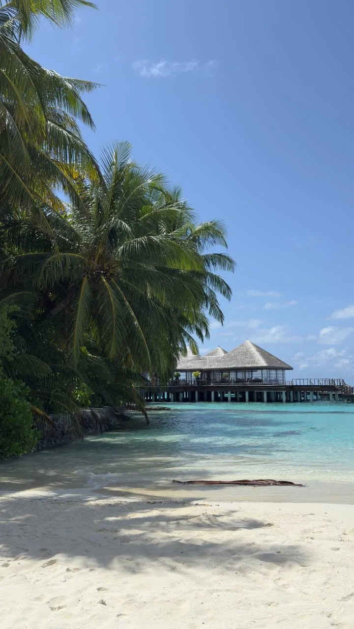 🏝️ Мальдивы на рейсах EMIRATES с багажом из Москвы и пересадкой в Дубае по специальном...